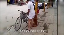 万物皆可栓二哈，水瓶栓二哈也就忍了，用草栓二哈是什么鬼