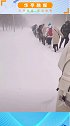 19日，黑龙江暴雪，一高校学生在风雪中艰难上课，网友：上学像是要登珠穆朗玛峰！东北请全看暴雪 下雪