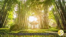 中国“最厉害”的新一线城市，将拥有第二座机场，不输武汉和青岛