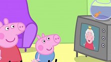 小猪佩奇：佩奇正在看电视呢，女王突然出现，会有什么消息呢