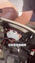电动车里还能“长出”小奶猫？