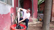 5斤胖头鱼做剁椒鱼头，色香味俱全，小伙一人吃掉整个鱼头，好吃