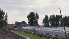 奋斗十一回家干起了农活，直言自己是村里最年轻的农民，不容易