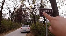 贺州凤翔镇这条公路的枫树红了，散落在地上，整个林子美极了