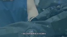 加拿大鹅崩盘了一夜蒸发16亿美元，售价1万的羽绒服未来如何