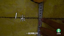 铺地板时才发现地面不平？你忽略了这条基准线！找平时注意了