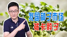 我国缺少优质种子，动植物种子都依赖进口，种子市场有卡脖子风险