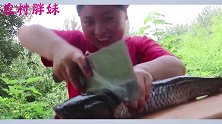 胖妹用4斤草鱼切块砂锅炖，配上3斤米饭，大洋：又要长胖5斤肉