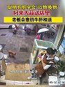 浙江金华：狗狗学会以物换物，叼大蒜送店里，老板会意扔牛肝相送