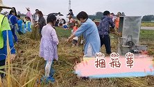 萌娃田间捆稻草，晒谷子，笑那么开心，童年的快乐快要溢出屏幕了