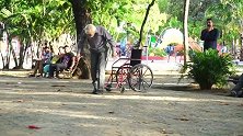 不用扶的老头搞笑，国外恶作剧，比我要灵活多了