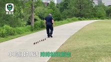 超可爱一幕！美国警察带着小鸡找妈妈 小鸡们站成一排跟在身后