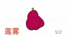 水果简笔画大全，画莲雾简笔画