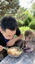 布兜溜须兜爸