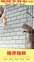 一只为了吃而努力的猫，看着都为它着急小猫就差二寸啊