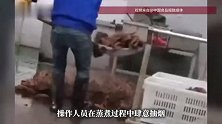 近千万粉丝主播“鹿哈”，或面临最高89.7亿元的天价赔偿！曾自曝带货7个月赚了3500万