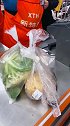 十块钱的晚饭，绝对能让你大吃一惊，超级美味！