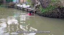 一夜暴风雨后，村民发现秧田里有“黑影”，走近看清后开心坏了！