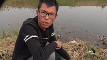 野钓，鱼口真不错