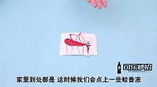 电热蚊香液自己就可以在家做，成本低又好用，可惜很多人还不知道
