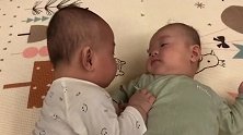 双胞胎宝宝“婴语”唠嗑，你一句我一句，在聊啥呢？