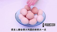 买鸡蛋，挑大的好还是小的好多亏养殖场大姐告知，看完提示家人