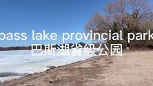 晨绿真心人的视频