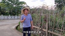 老房子旁边有一种奇特植物，90岁老人第一次见，作用还不少