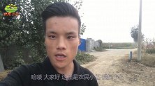 河南小伙到山东收辣椒，1万元本钱应不应该抹掉零头？大家怎么看