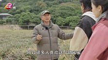 从大湾区出发丨第四集 农业