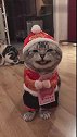 猫：靠自己的才艺挣了这么多钱，可以去买小鱼干了！