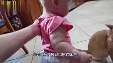 小宝宝想用小胖手摸摸自家猫咪，可猫咪实在太好冷，画面尴尬了