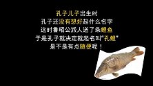 【三言两语说历史】轻松一刻，分享6个有趣的历史知识