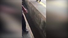 公交站员工捕杀流浪犬 与爱狗人士起冲突