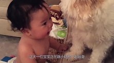 宝宝一拳将小奶狗打翻，不料遭到小狗反击，画面太搞笑了