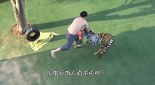 俄罗斯人不怕熊俩大叔野外睡觉，一头熊走过来，镜头拍下一幕
