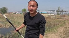 七星漂钓鲫鱼，水草边打窝，下竿就是狂口(1)