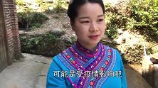 秋子与妈妈帮姨妈种生姜，15元一斤姜种，姨妈收藏43斤赚大了