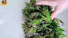 教你自己在家炸香椿芽，简单易学，吃一口嘎嘣脆，一顿吃一盘！