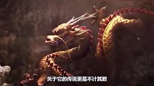为什么龙生九子却没有一个是龙？看看龙的老婆，你就明白了！