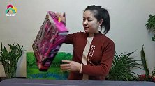迷你特工队路希，女生也爱玩的特工队变身玩具