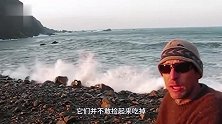 大浪过后，海边出现大量黑色石头，“好吃大补”却没人敢捡！