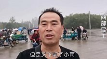 农村狗集拉布拉多犬卖500，大叔六七百买进八九百治病，赔钱不