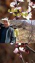 春有约，花不误，岁岁年年不相负春暖花开奔你而来 春天你好  踏春赏花
