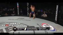 MMA2017年度十大降服