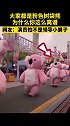 粉色树袋熊：拽犯法吗～不服你打我呀 画风 拽
