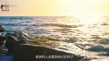亚马逊河出现“巨型水怪”接近水面那一刻，让人看傻眼了