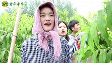 游园记1：小伙伴一起去桃园摘桃子，没想小花却被小鸡宝宝吸引