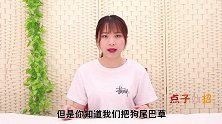 狗尾巴草用水煮一煮，真是厉害了，一般人不懂有啥用，早知早受益