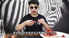 【世界第一系列】试吃西班牙国宝级美食西班牙红魔虾